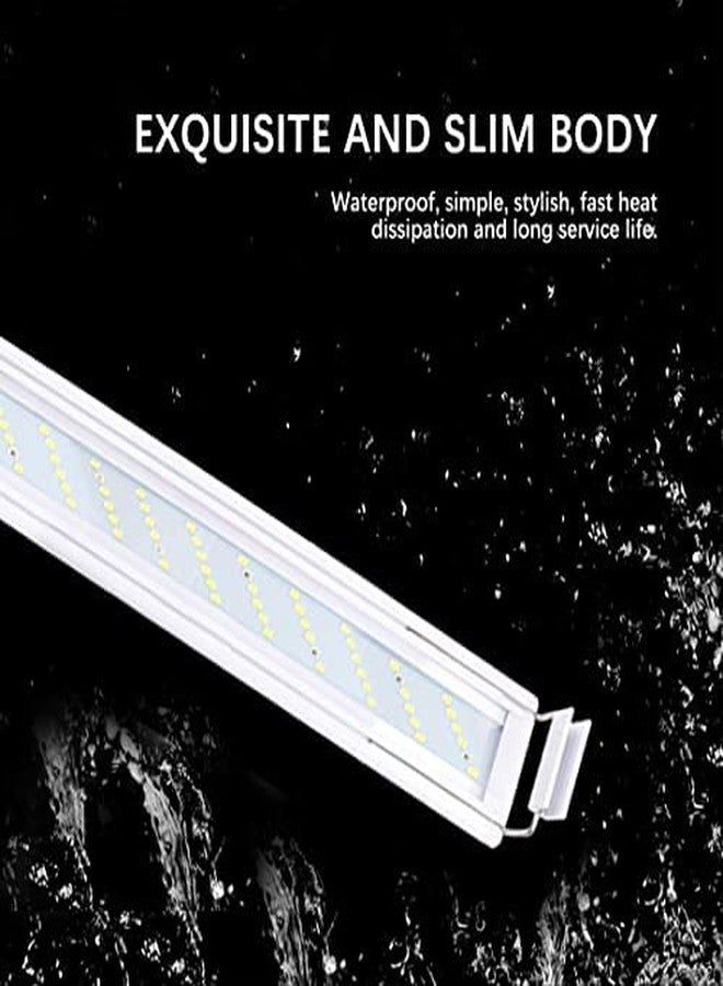 VAYINATO® RS-T600 Suits for 60~70cm Tank Aquarium Ultra Thin Design Fish Tank Aquatic Plant Grow Waterproof Bright LED Light Clip Lamp (Blue+White) by Petzlifeworld - Image 3